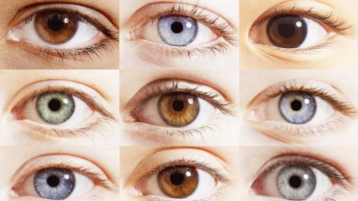 Choosing The Perfect Eyeshadow Color: How To Make Your Eyes Pop
